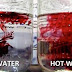 Cold Water Vs Warm/Hot Water: One Of Them Is Damaging To Your Health