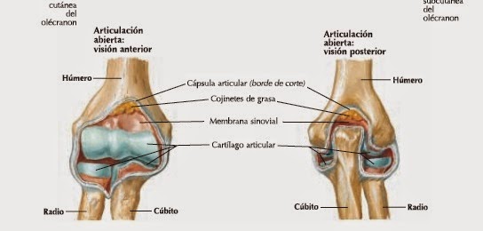 tratament de patologie a articulațiilor genunchiului care ajută împotriva durerilor articulare severe