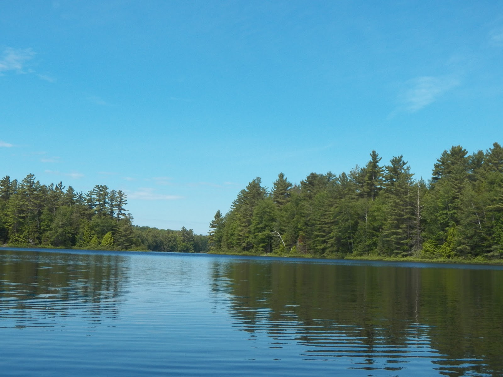 Quiet Kayaking in New York State Rollins Pond and Floodwood Pond, 2013 part one