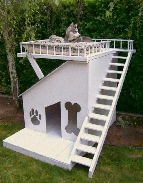 20 cool gift ideas for dogs