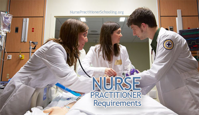 nurse practitioner requirements