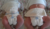 Geobels Fitted Cloth Nappies