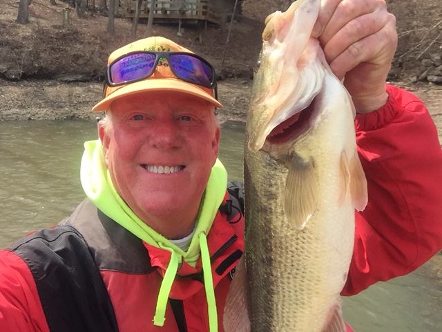 Bassing bob Clearance