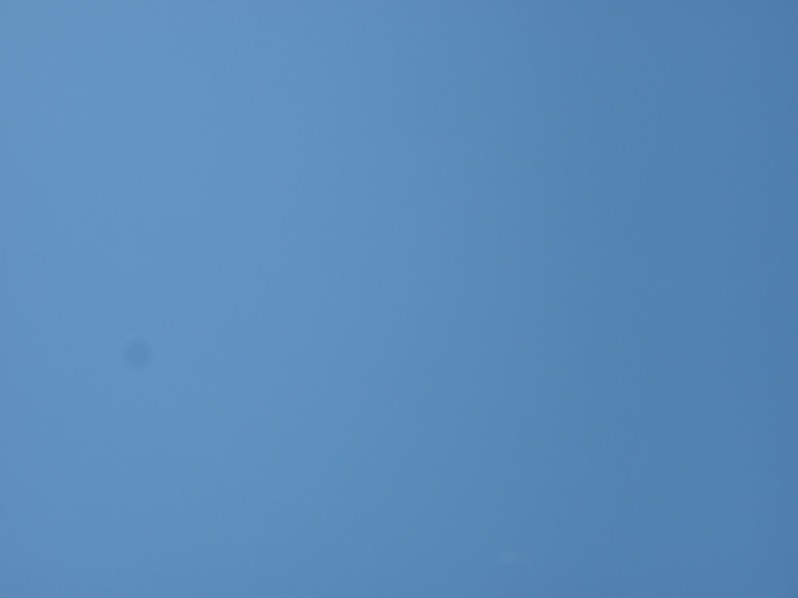 F8.JPG