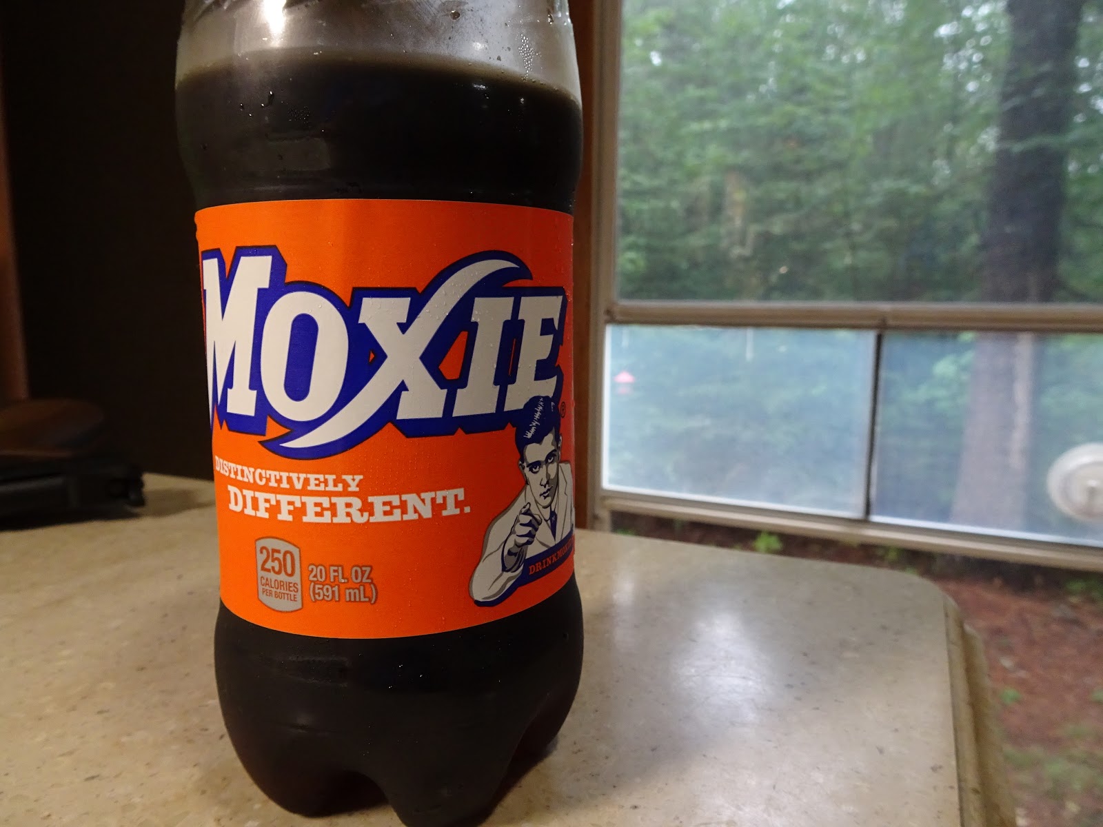 Mark & Teri's Travels The Official State Soft Drink of Maine