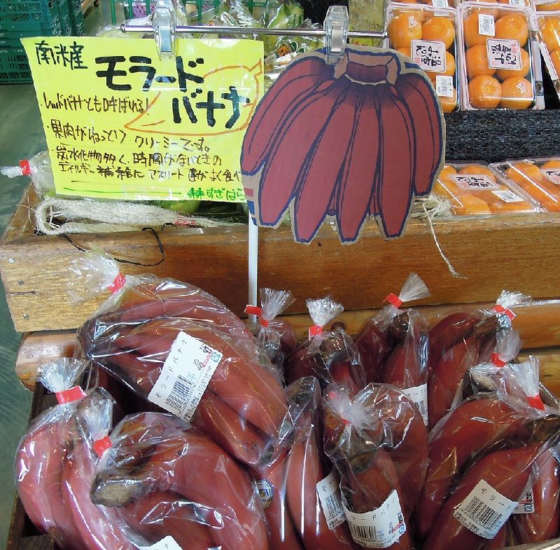 Gambar Gambar Pisang Yang Berwarna Ungu - Jenis Pisang Dan Manfaatnya