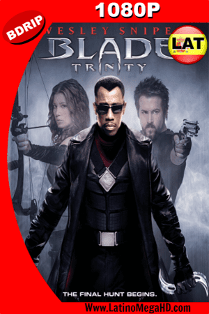 Blade: Trinity (2004) Latino HD BDRIP 1080p ()