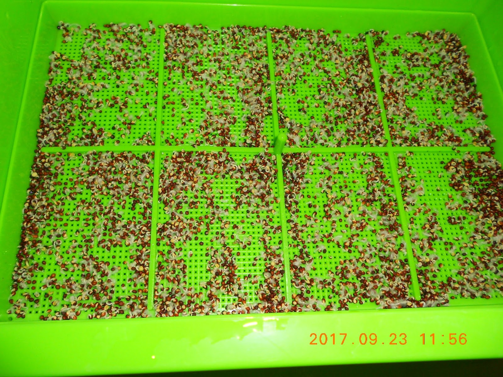 �����R,�����R��,���Ⱚ�R��,������ŵ�,�����R��i,�����R����i,�����ŵ��ܦ�,�����ŵ浵���ߵ�,�����R��