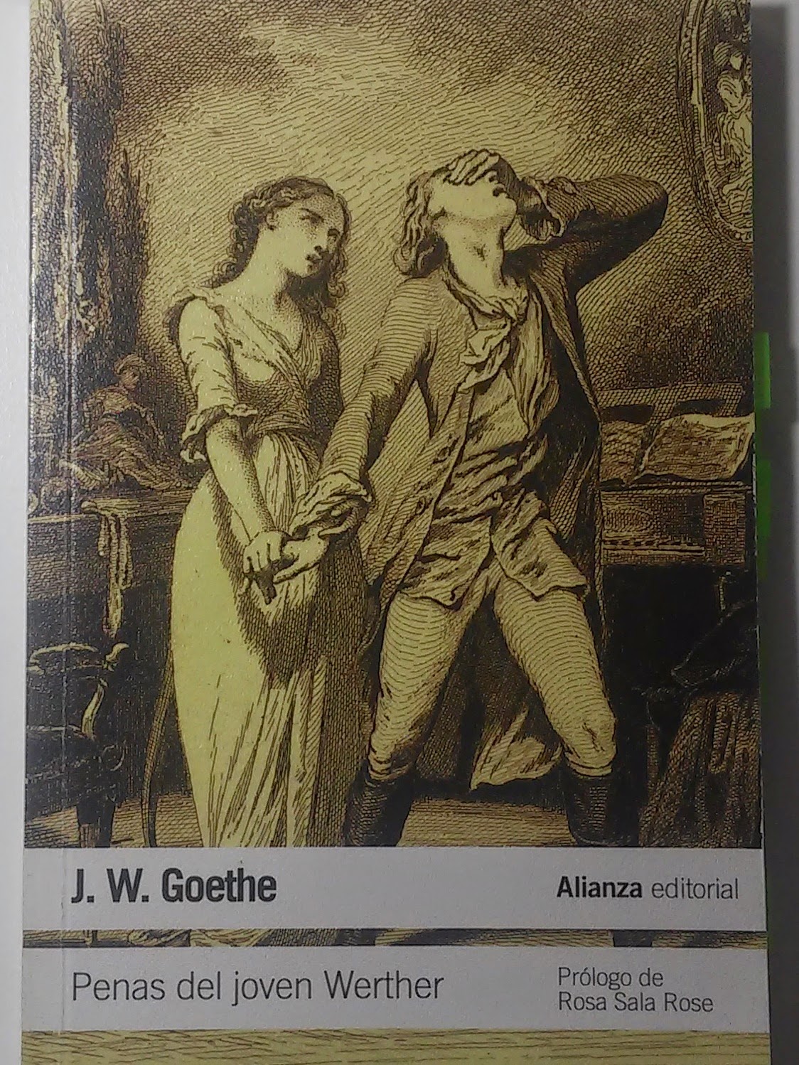 BARCELONA N' BOOKS R Werther, de