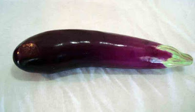 buah terong buah terong