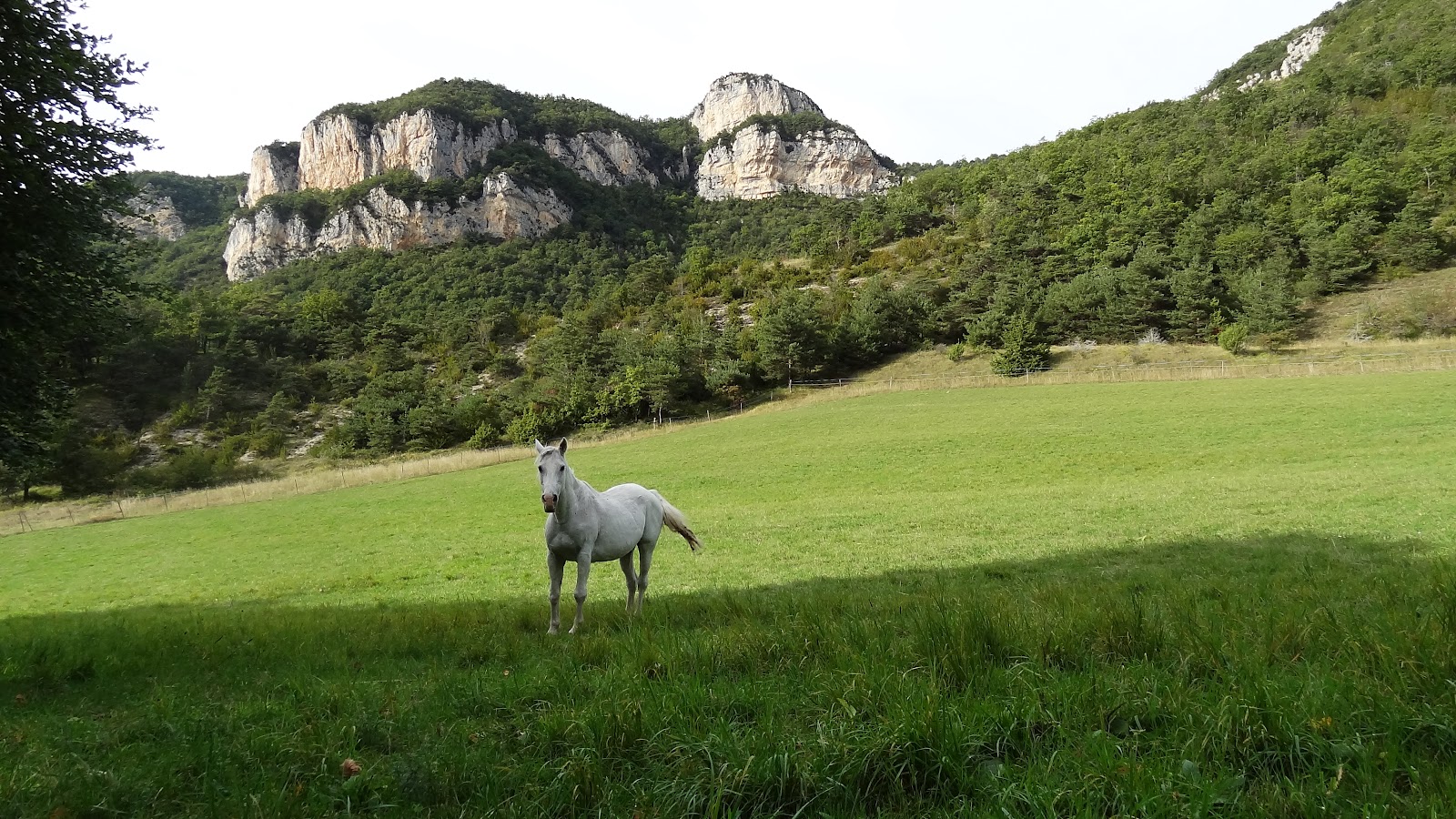 DROMESCAPE - Randonnées en Drôme et Escapades photographiques: Le Pré