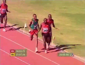 1.gif