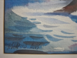 shapiro irving artist signature aws thrift educator