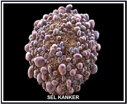 https://2.bp.blogspot.com/-oUh0aTRWbtE/WDkmonSc1YI/AAAAAAAAAI8/nqxIcKQJV-sUbFQStjX1OUaVUPK2ahr5QCLcB/s1600/transferfactor-kanker.gif