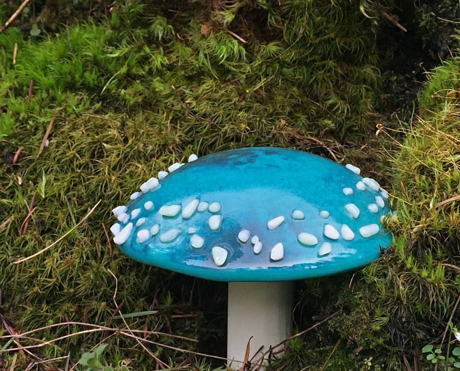 the glasshoppa blog mushrooms for the garden blue light mushroom growth