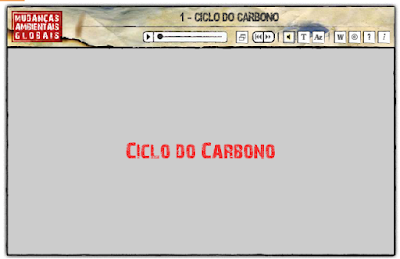  CICLO DO CARBONO