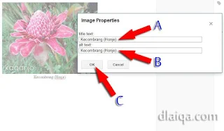 input Image Properties