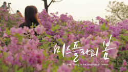 flower spring story kto korea miss flowers language