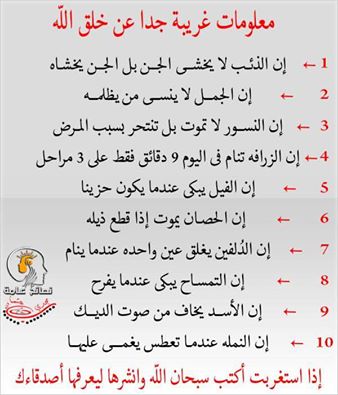 مختارات سهام معلومات غريبة عن الحيوانات