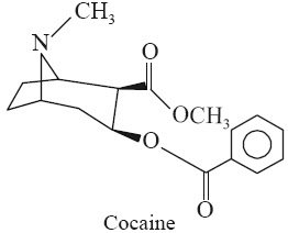Cocaine  Synonyms 2β-Carbomethoxy-3β-benzoxytropane; l-Cocaine; β-Cocaine