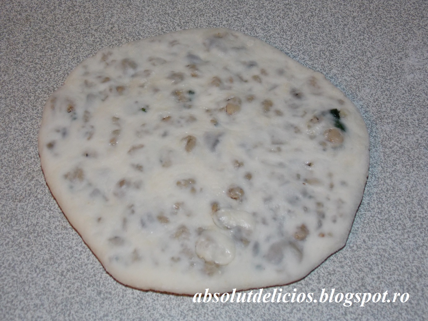 Absolut Delicios Retete culinare PITA BREAD FILLED WITH MEAT AND