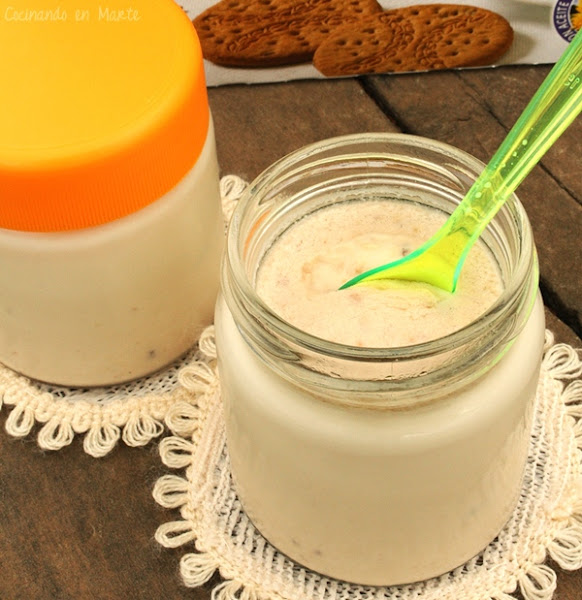 Como Hacer Yogures De Sabores En Yogurtera : hacer yogures yogurtera