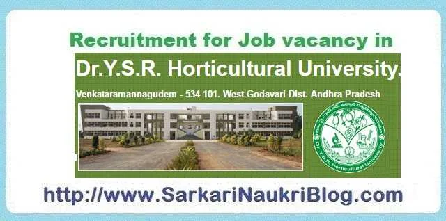 Sarkari Naukri Vacancy Recruitment Dr. YSR HU Andhra Pradesh