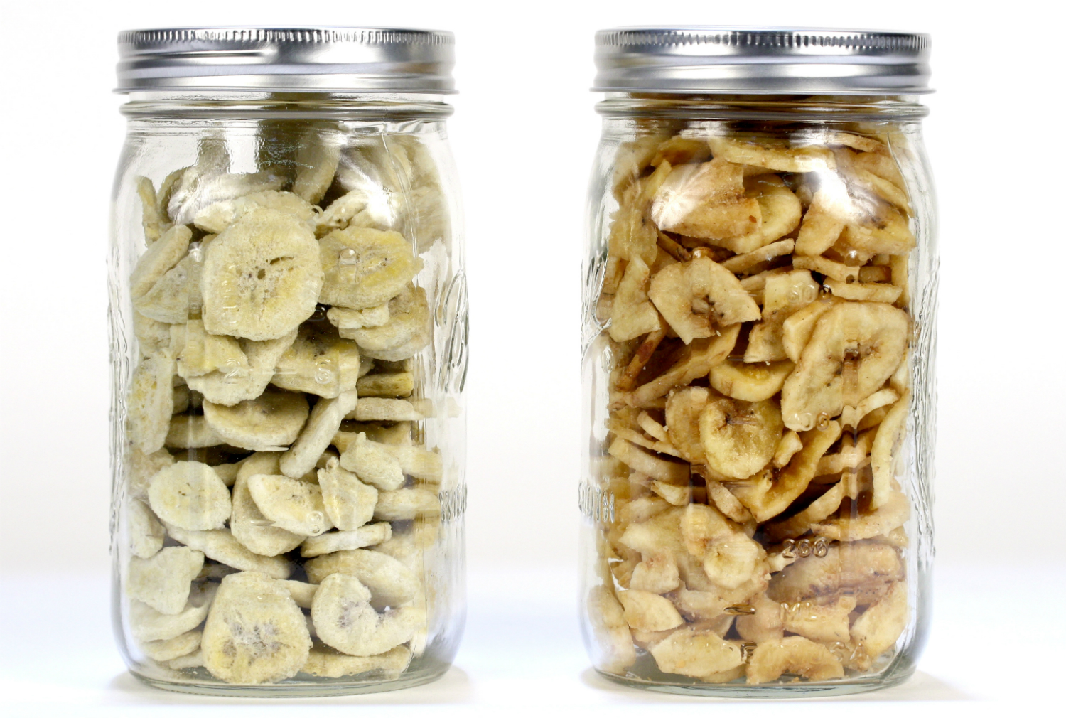 Freeze Dried vs. Dehydrated | In The Kitchen With Honeyville