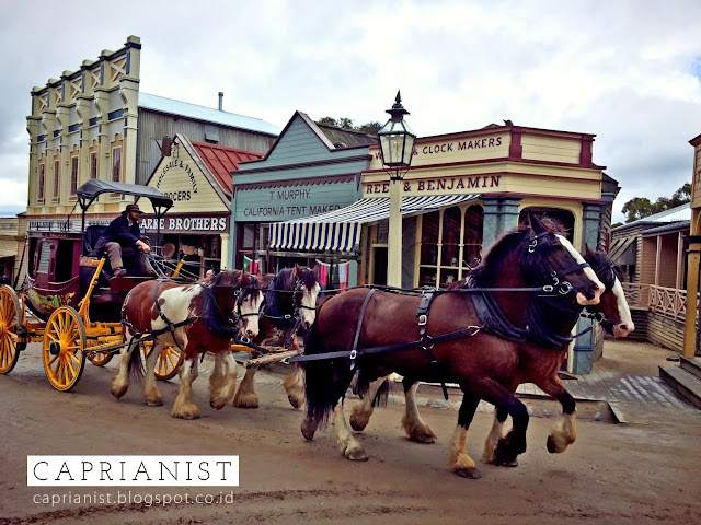 The Horses in Sovereign Hill
