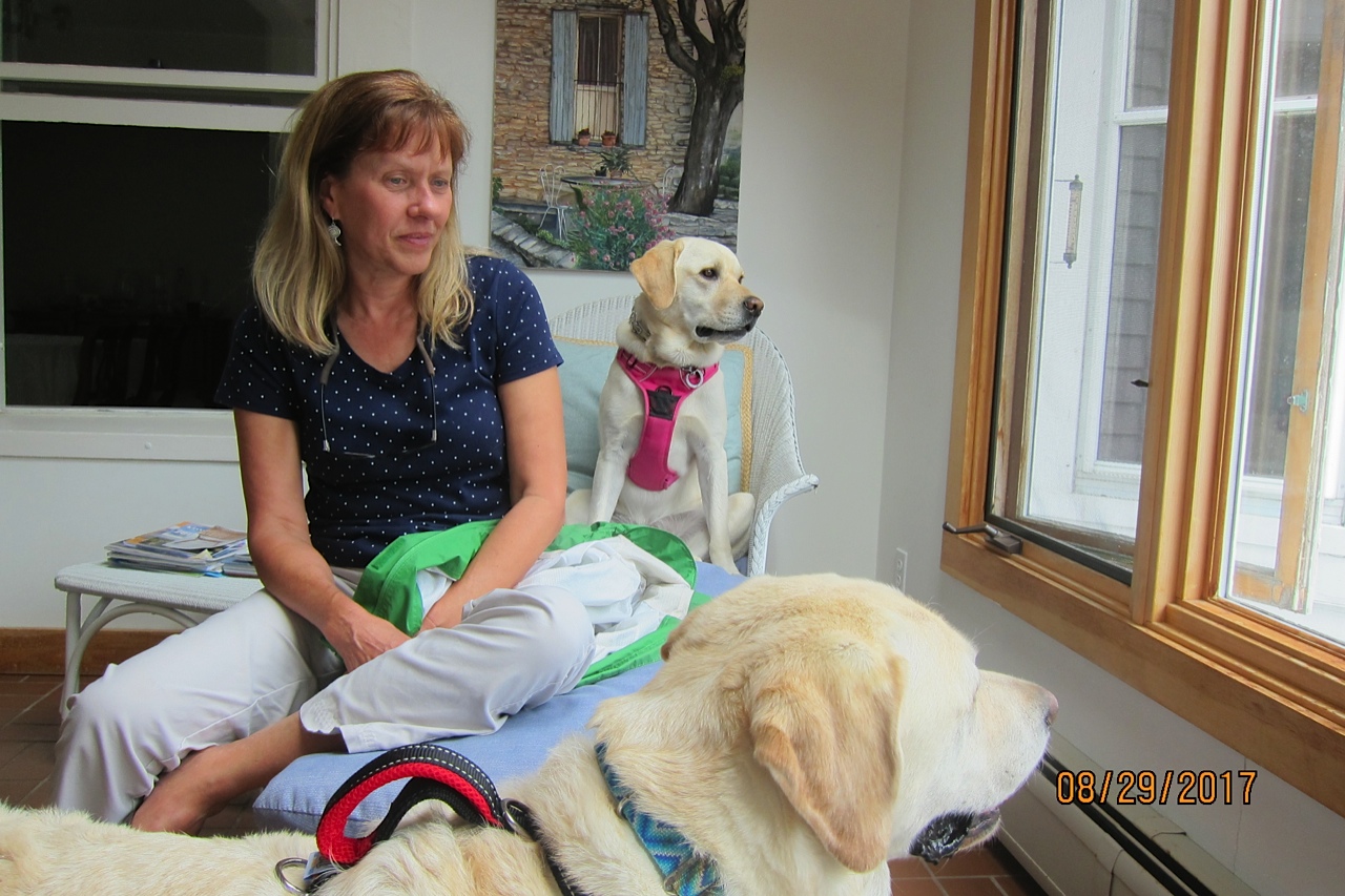 TakingPaws Castine, Maine