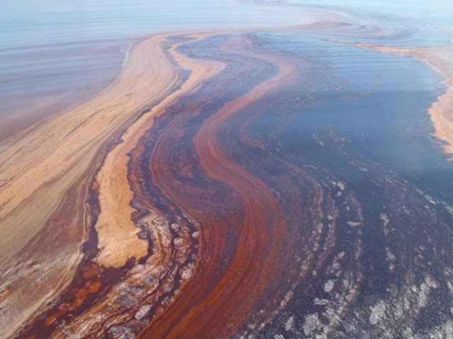 Are There Nature Microbes That Eat Oil Are There Nature Microbes That Eat Oil