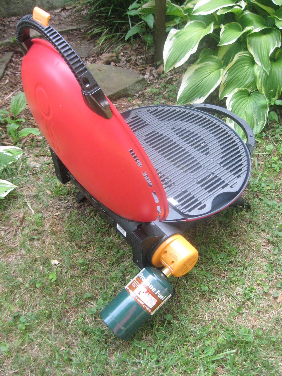 Barbecue Master: Grill - Gas Grill review