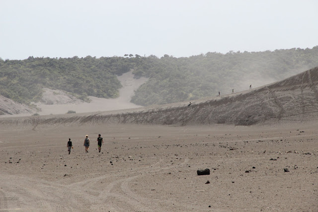 2016090176tanna.JPG