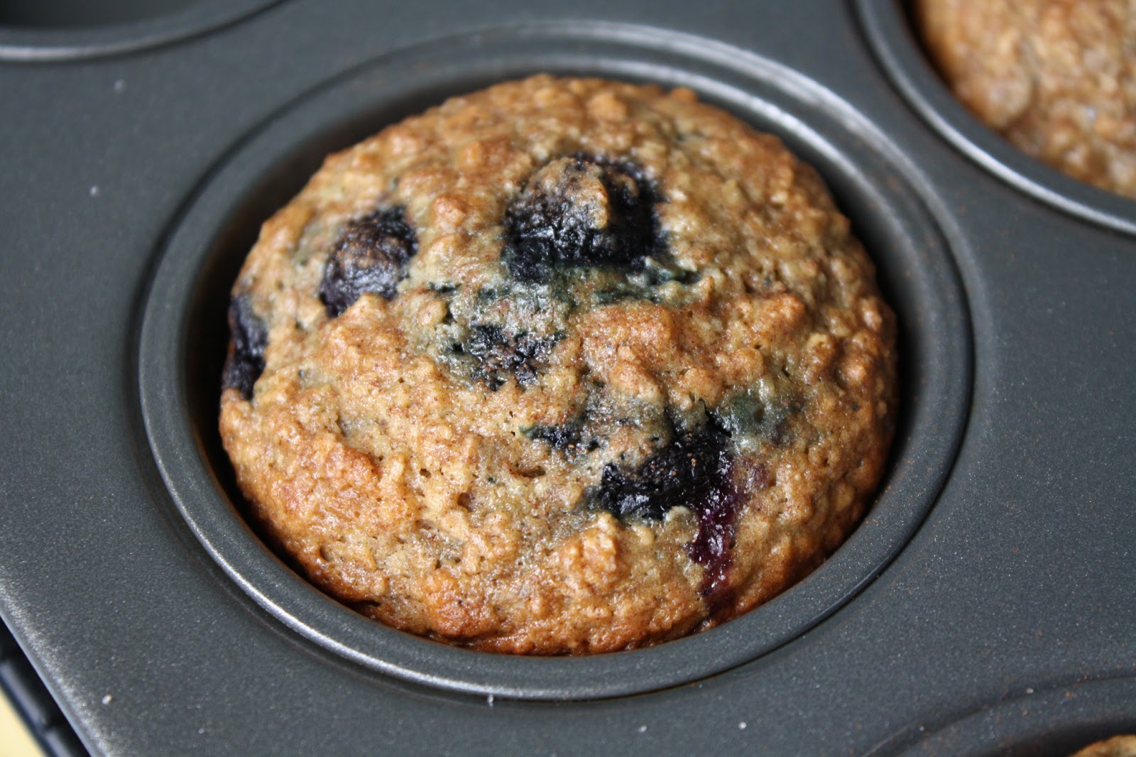 Recipes from Michelle's Kitchen Blueberry Oatmeal Muffins