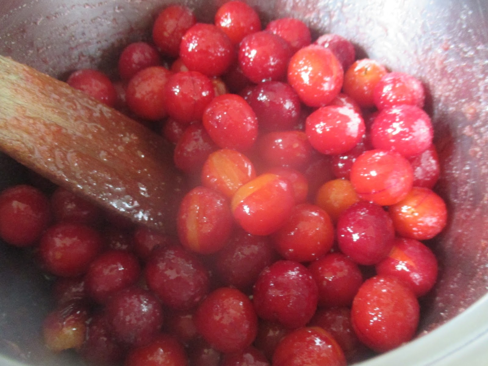 Mirabellensoße – zu Pudding, Eis, oder Gebäck – glatzkoch.de