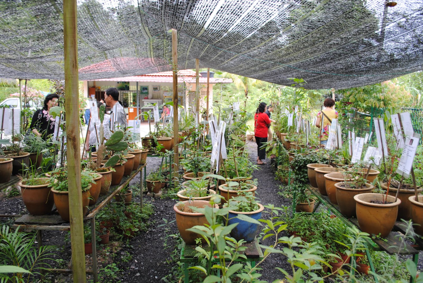 THE YPL TROPICAL HERBAL FARM PUSAT PERTANIAN PANTAI Happenings At
