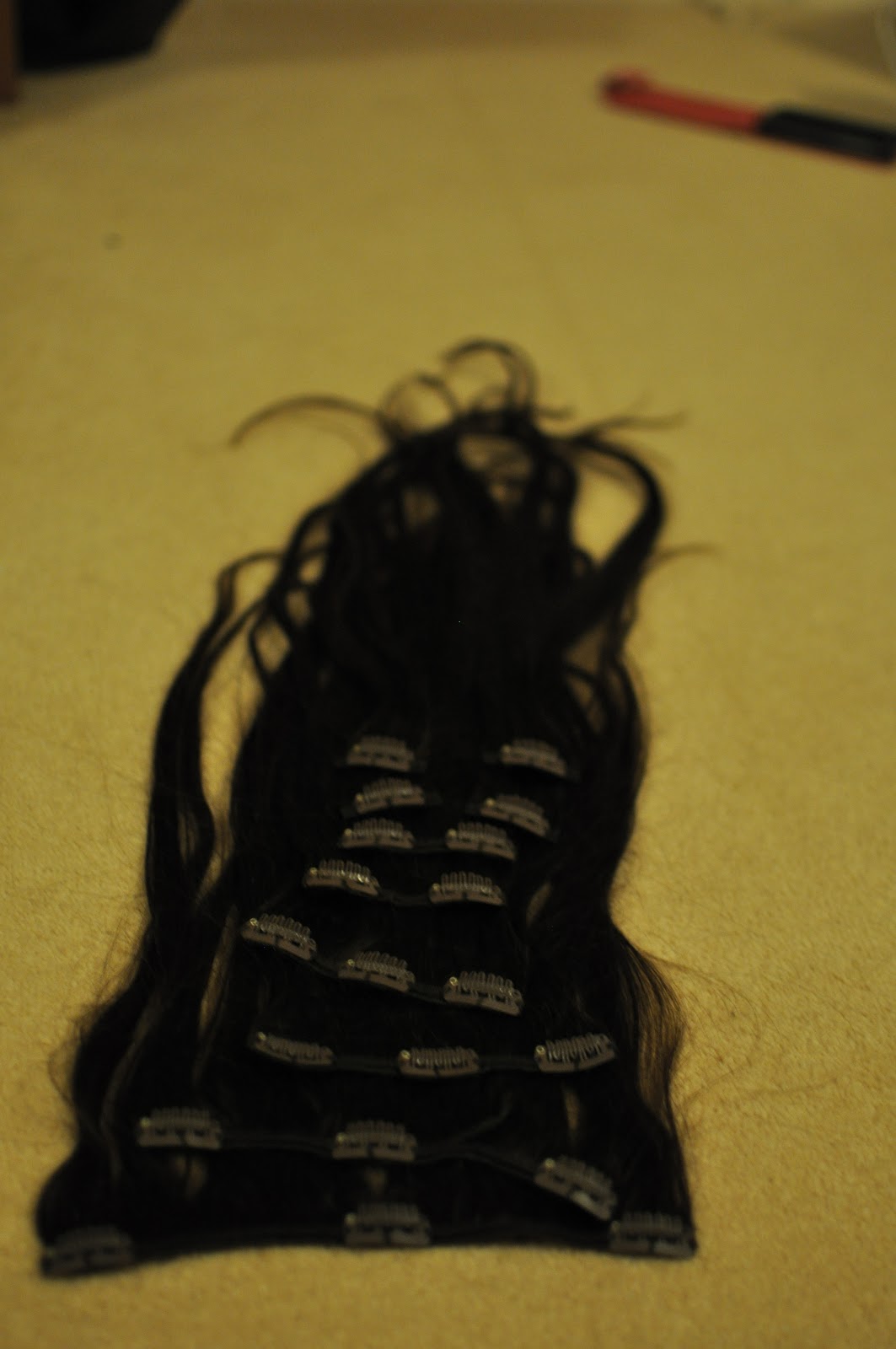 The.real.Sahar.. Sally's Hair extensions (American Pride)