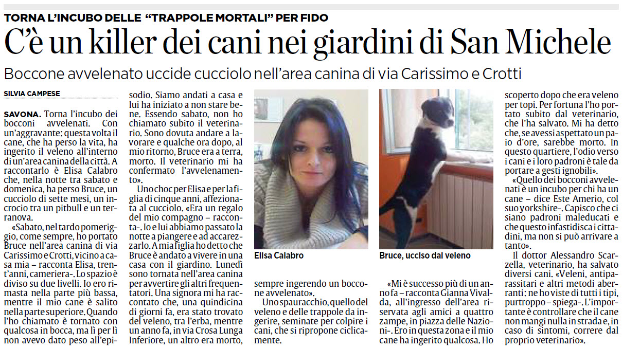 ALASSIOFUTURA Savona C'è un " killer " dei cani nei giardini di San