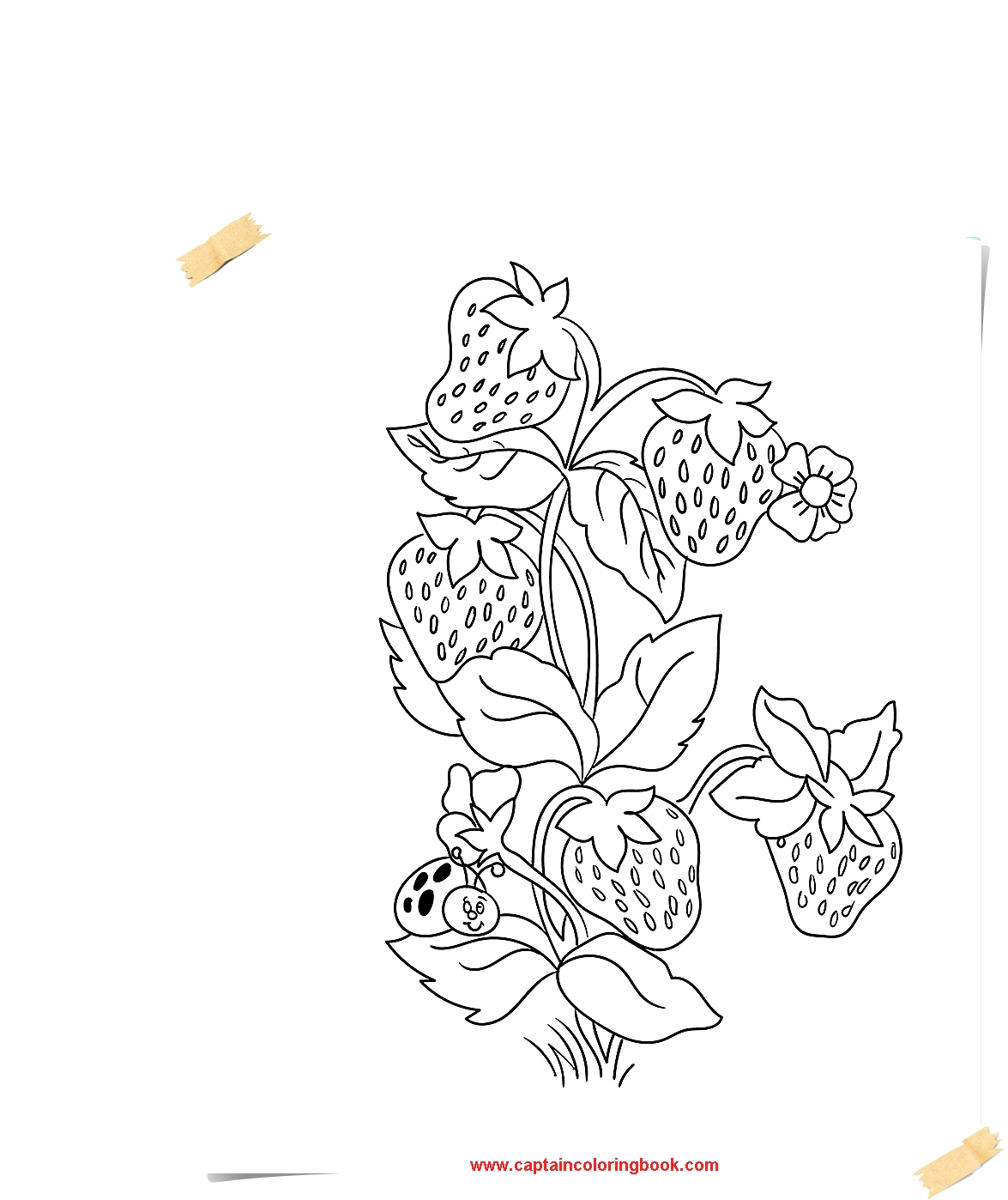 fruits and vegetables strawberry coloring pages coloring page