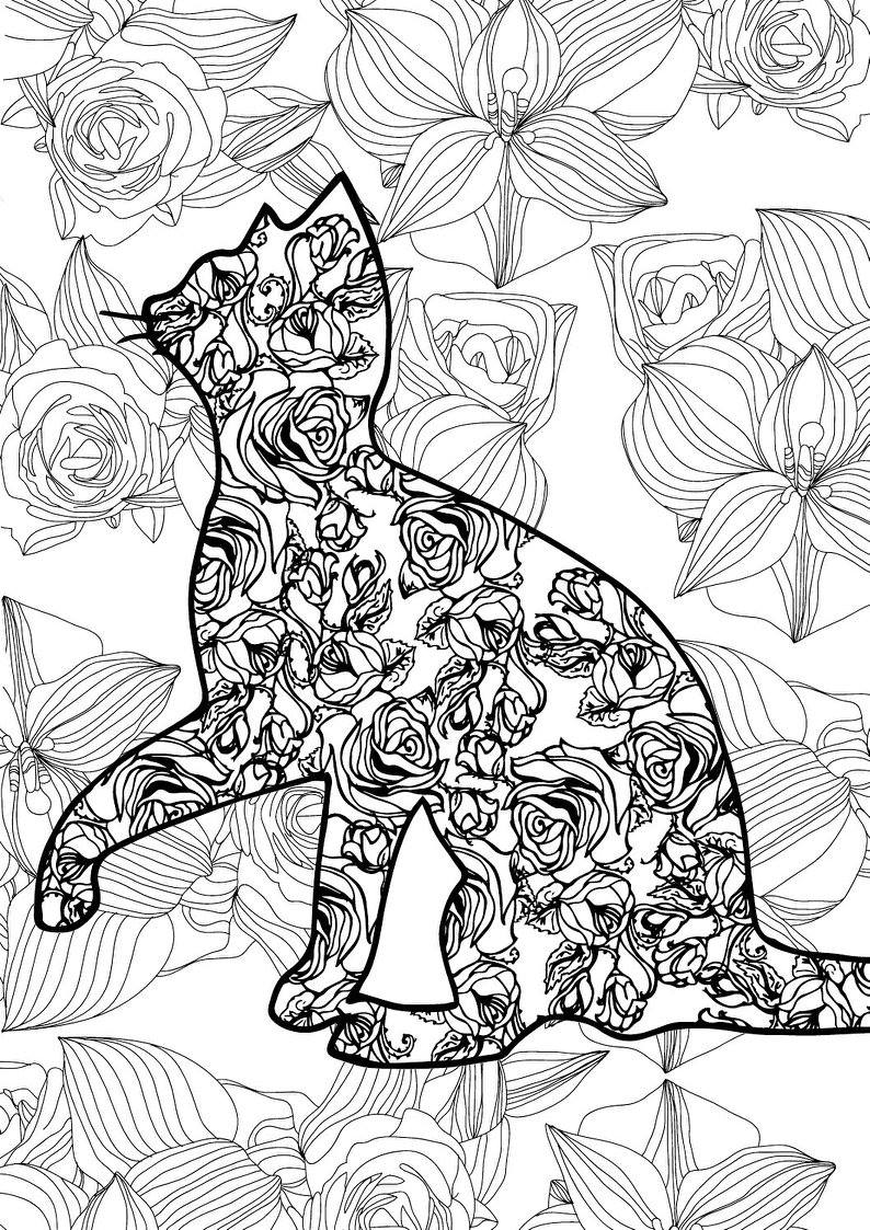 Fichas de Primaria: Dibujos para colorear