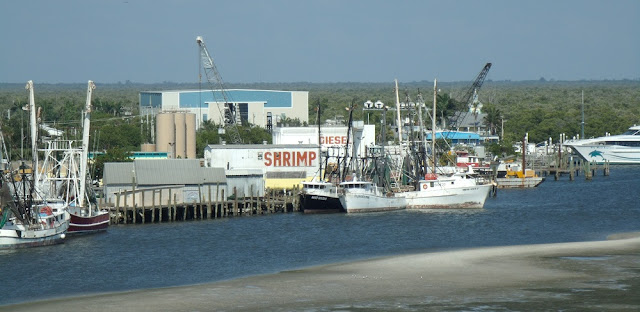 Marinas y barcos de pesca comercial Marinas y barcos de pesca comercial