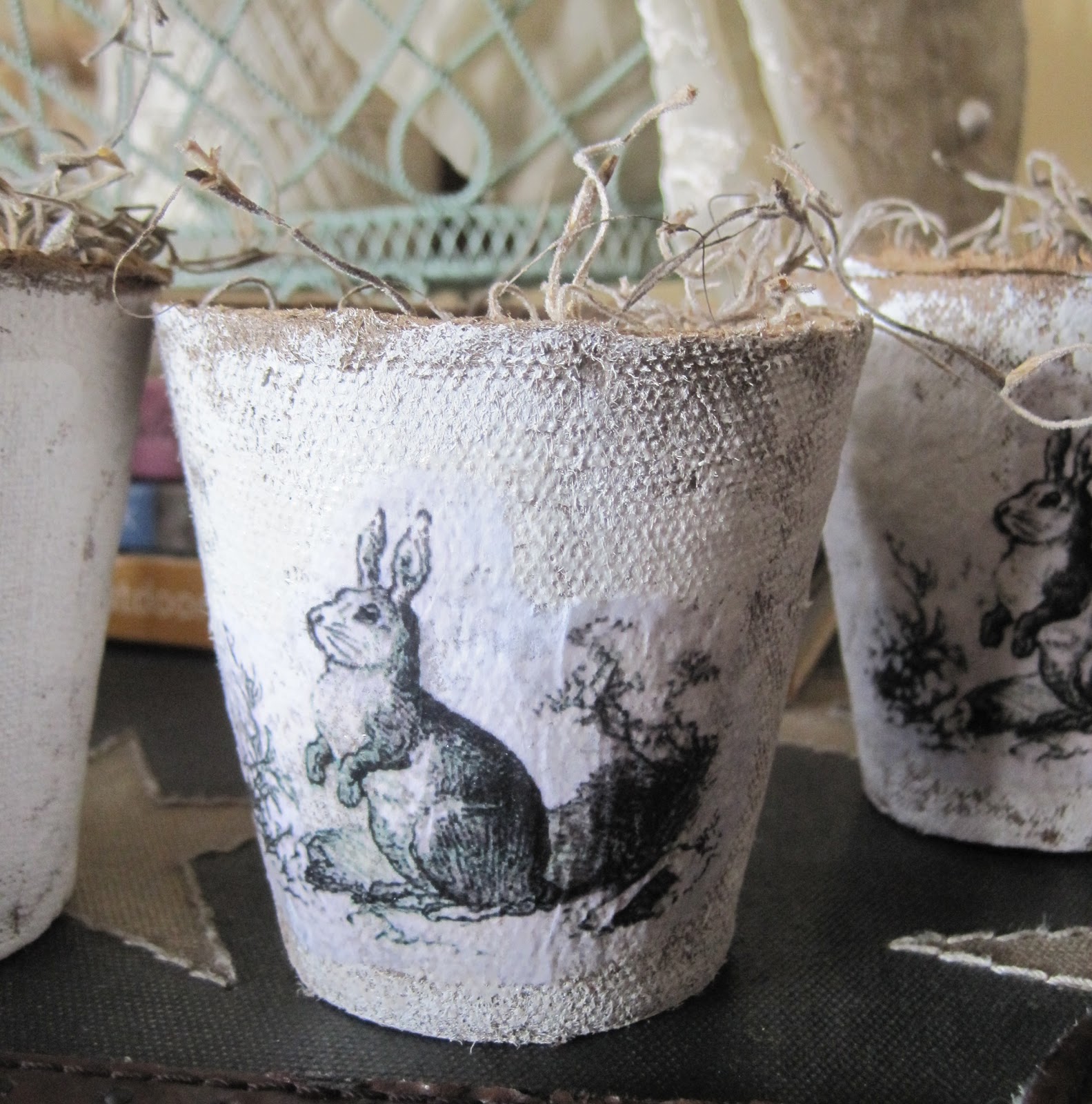 Bunny Peat Pots Okio B Designs