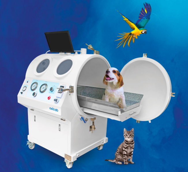 India small animal hyperbaric oxygen therapy chamber