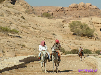 Petra ingresso siq