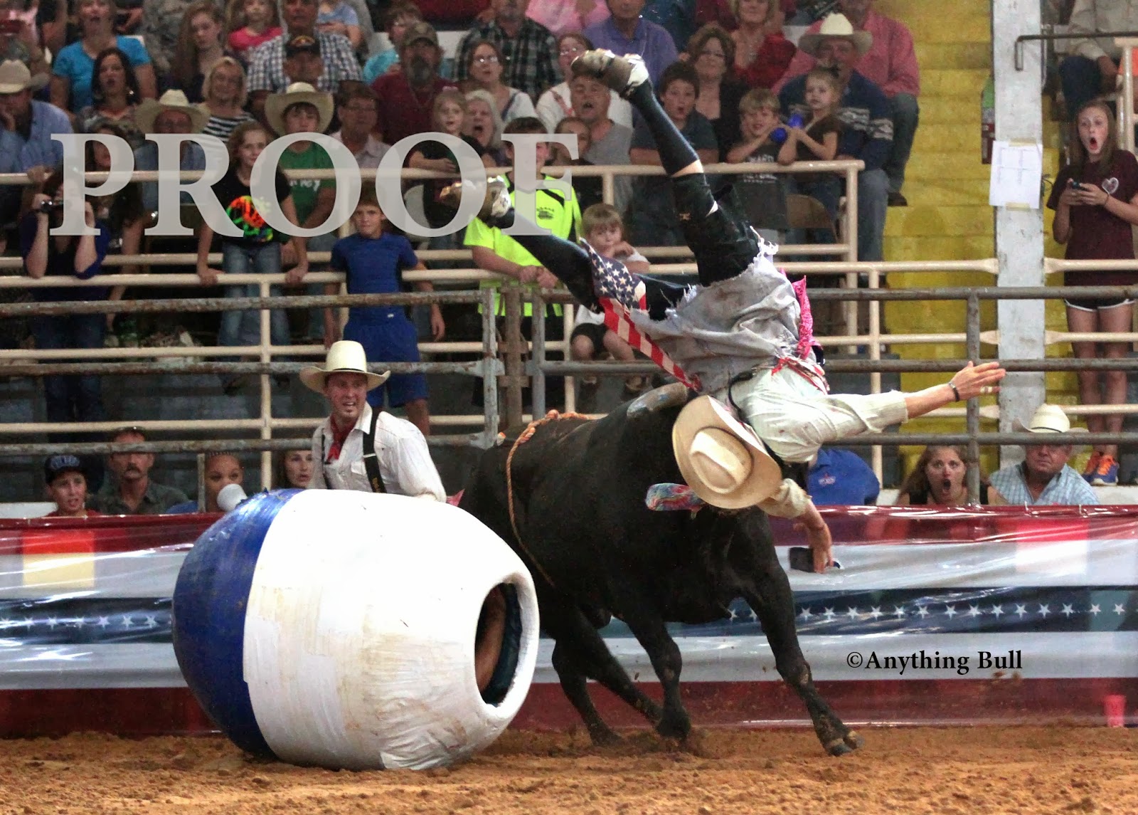 Anything Bull or Rusty: Saturday Round 4 - Clint Hopping