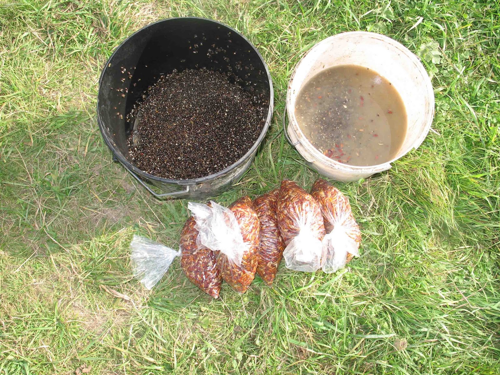 Travelling Man Further bait and wait tactics explained.