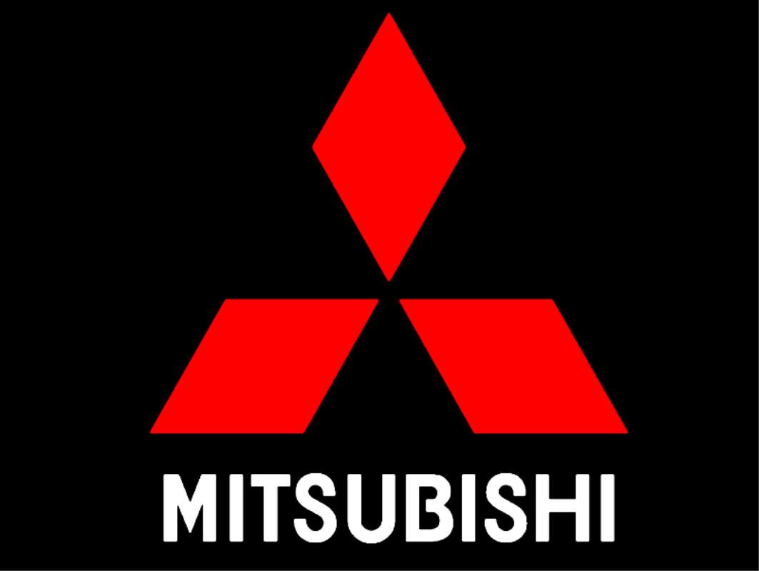 Business Ethics Case Analyses: Mitsubishi Motors Falsifies Mileage Data
