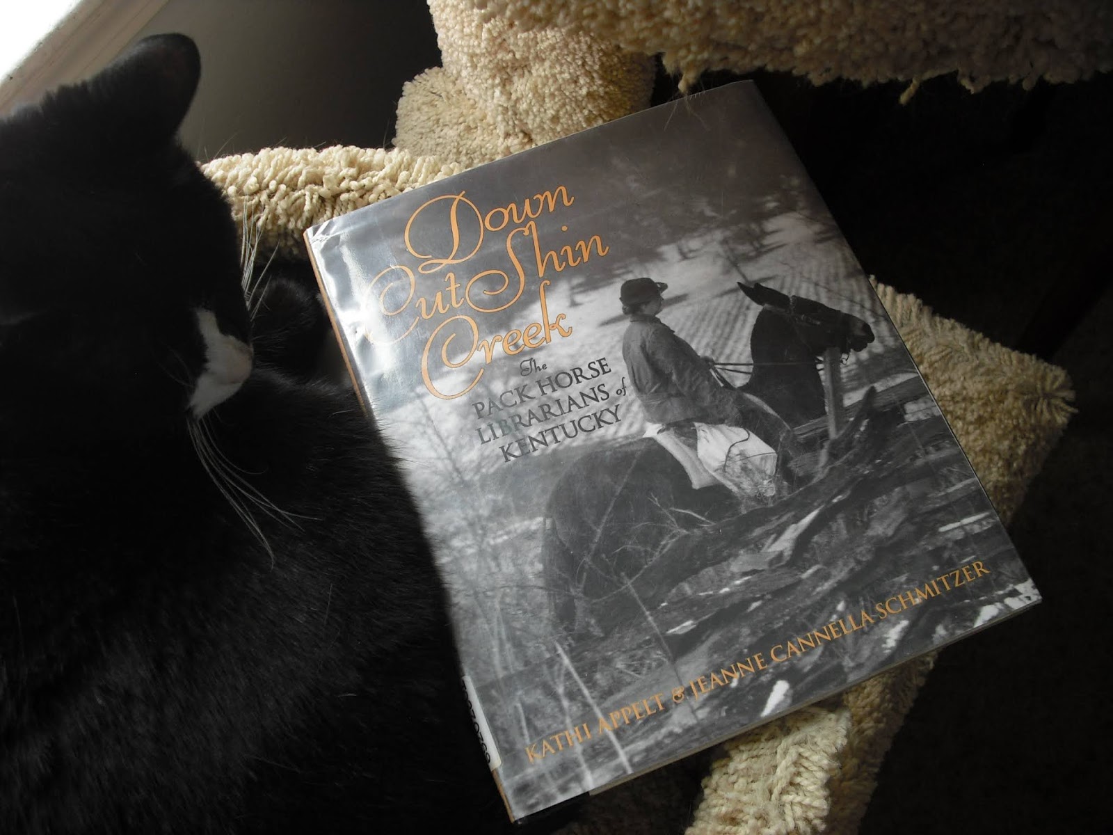 Grab A Book From Our Stack "Down Cut Shin CreekThe Pack Horse