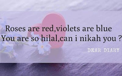 dear diary se images shayari and love quotes-9 dear diary se images shayari and love quotes-9