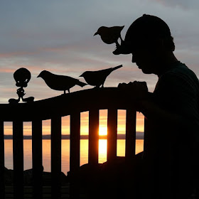 21-Tweety-Bird-John-Marshall-Sunset-Selfie-Photographs-with-Cardboard-Cutouts-www-designstack-co